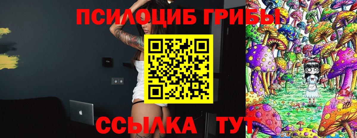Юрга  Галлюциногенные грибы GOLDEN TEACHER  Вход с VPN 