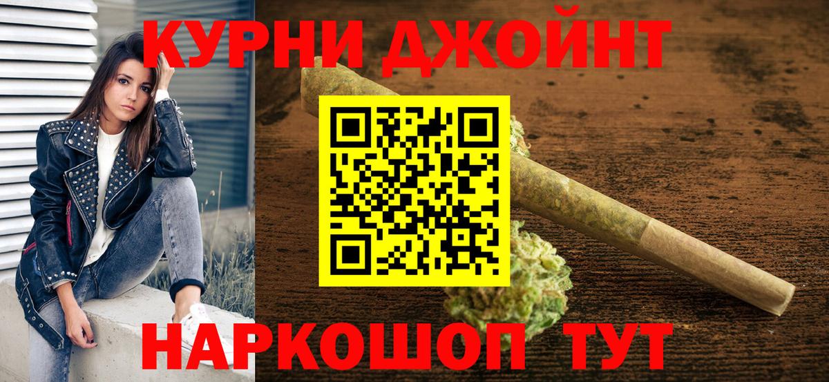 Конопля сатива Юрга